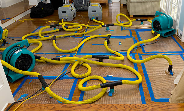 Professional Burst Pipe Water Damage technician working in West Islip, NY